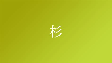 杉 名字|「杉」という名字（苗字）の読み方は？レア度。